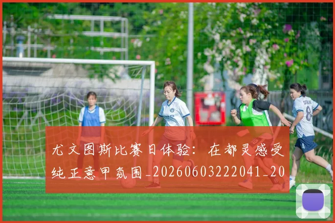 尤文图斯比赛日体验：在都灵感受纯正意甲氛围_20260603222041_20260703233951