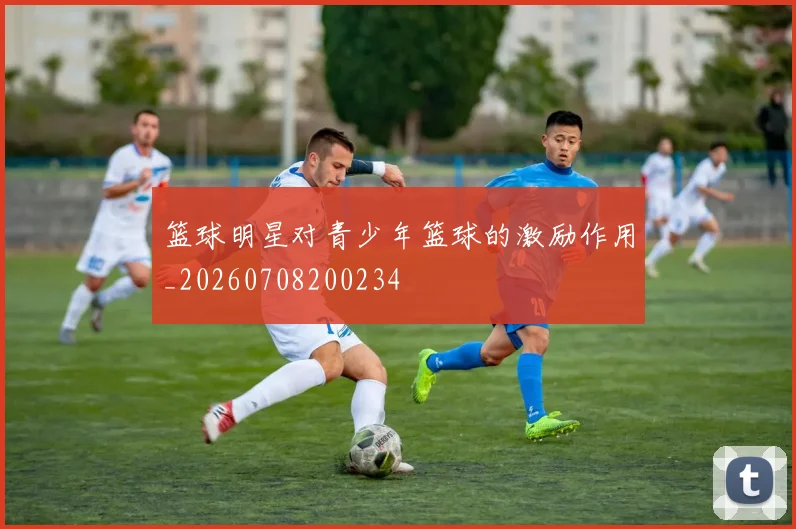 篮球明星对青少年篮球的激励作用_20260708200234
